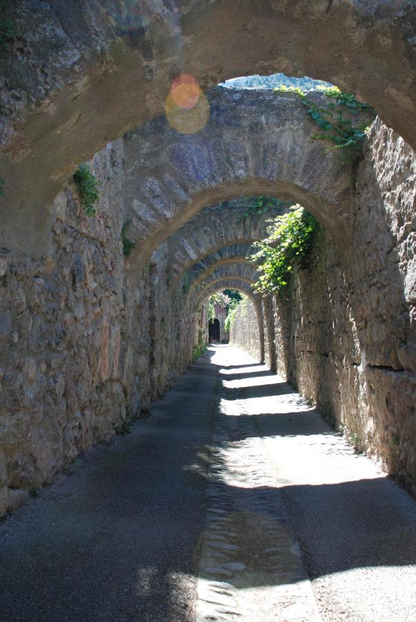 Appartement De Charme Au Coeur D Une Cite Medievale Villefranche-de-Conflent Zewnętrze zdjęcie